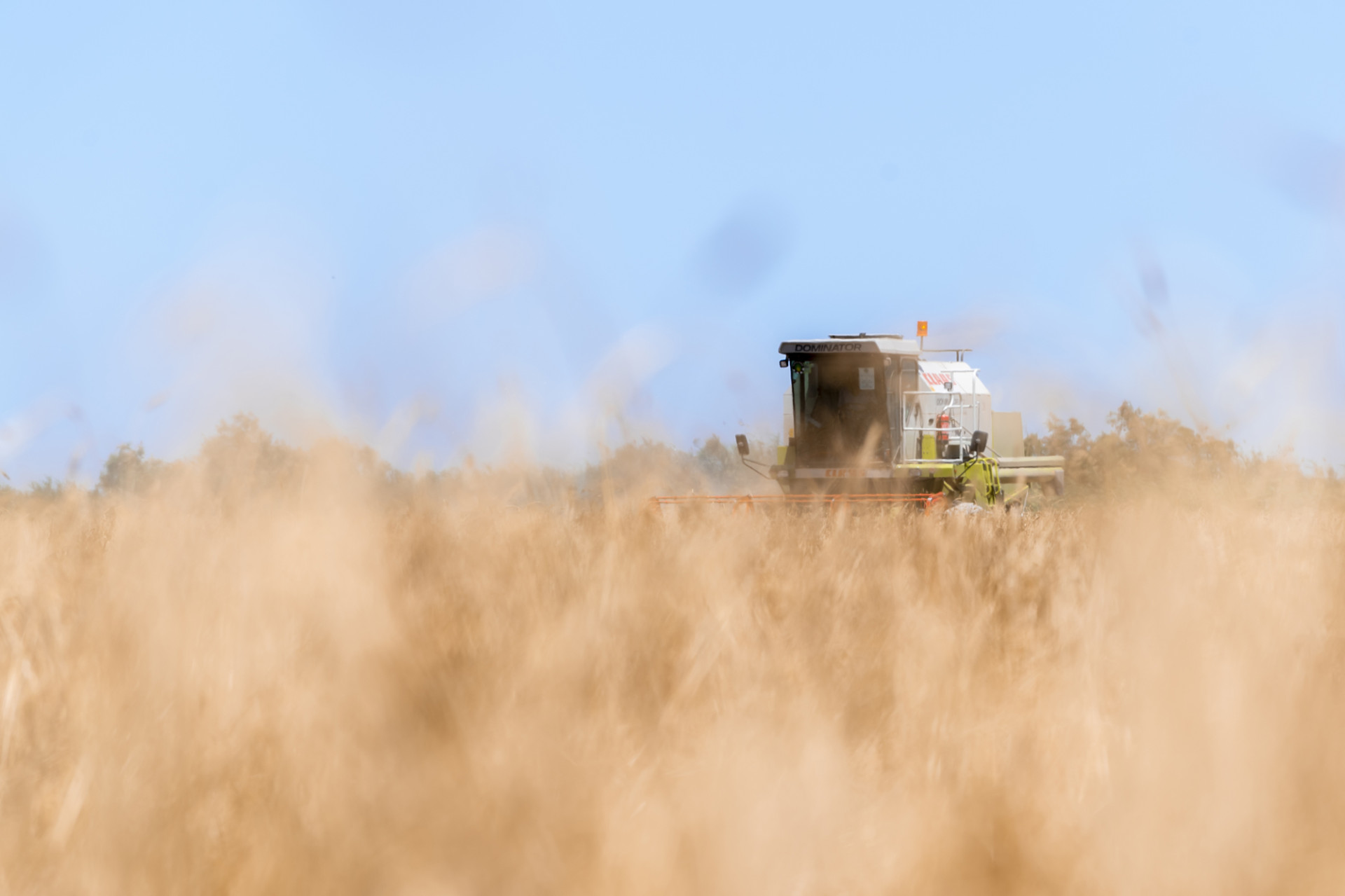 Zəhmət tarlasında görünməyən qəhrəman