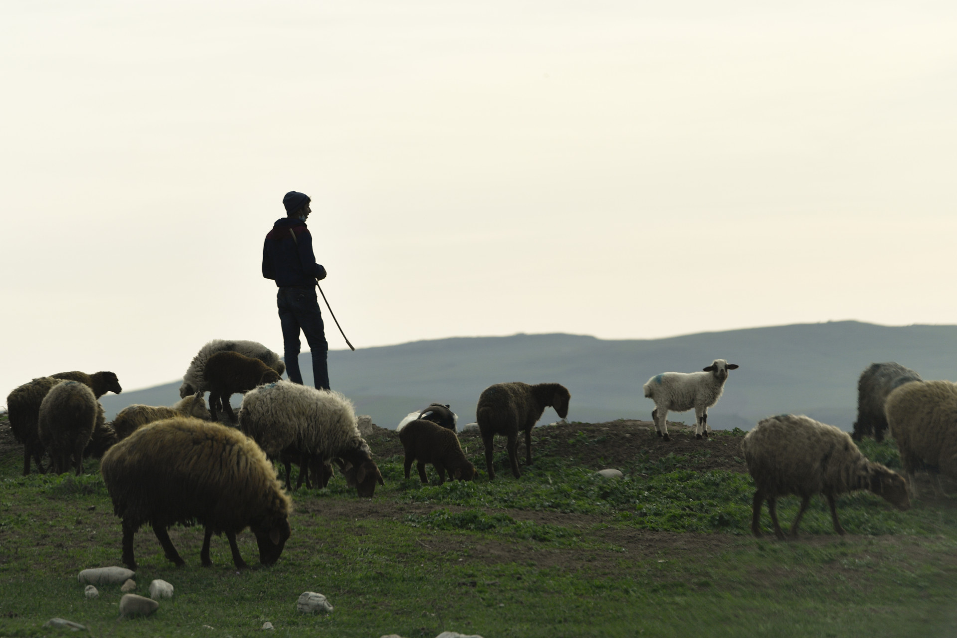 Dağların Səssiz Mühafizəçisi