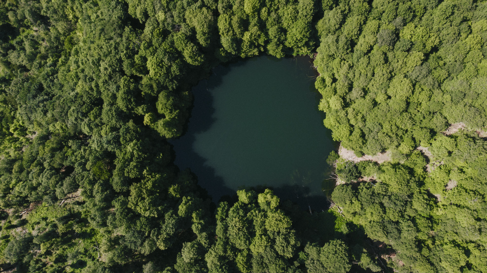 Yaşıllıqların Qucağında Səssiz Göl