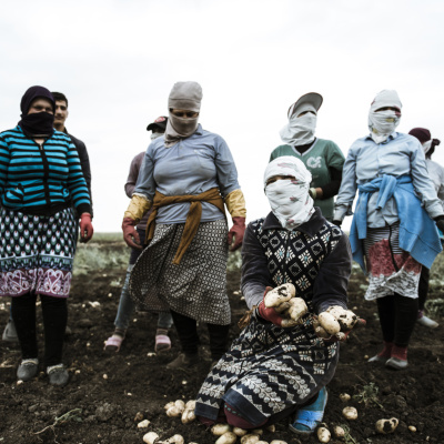 Torpağın Qızları