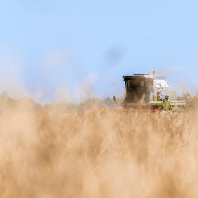 Zəhmət tarlasında görünməyən qəhrəman