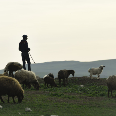 Dağların Səssiz Mühafizəçisi