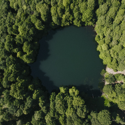 Yaşıllıqların Qucağında Səssiz Göl