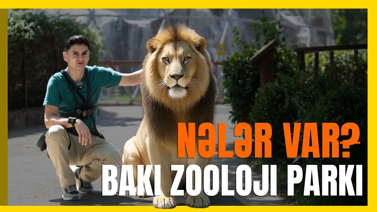 Bakı Zooparkında unudulmaz bir gün – Heyvanlar, qiymətlər və maraqlı faktlar