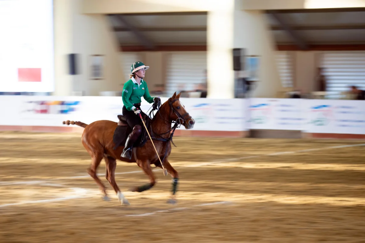 Azərbaycan Respublikası Atçılıq Federasiyası