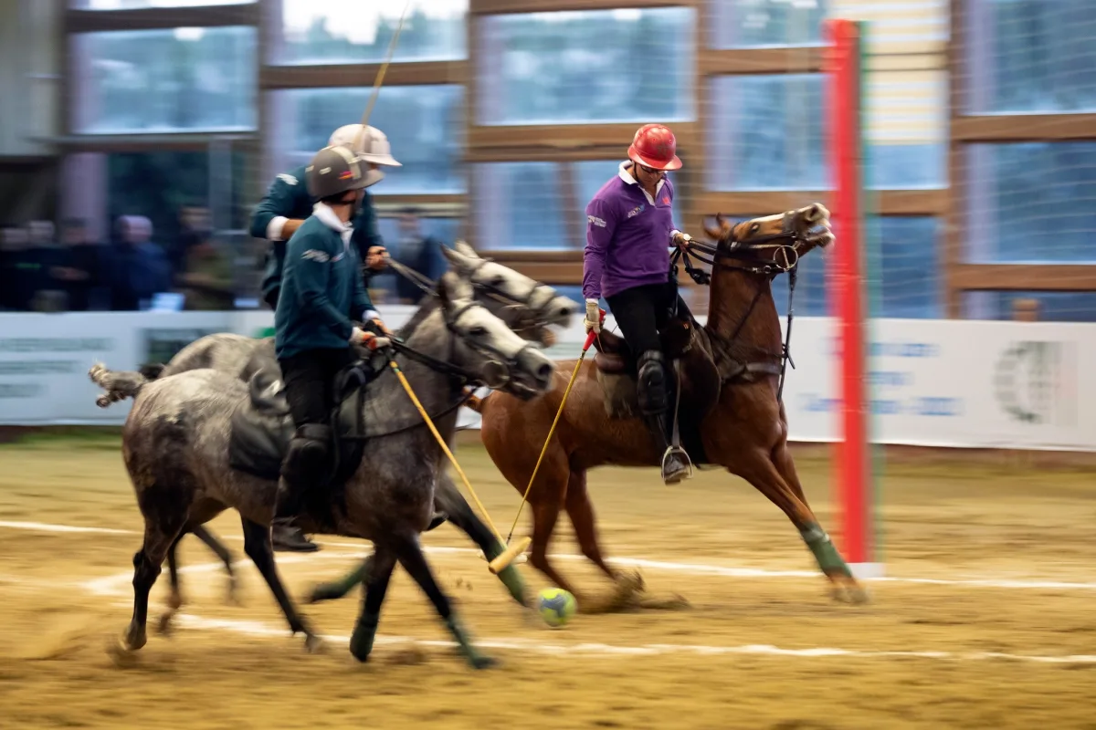 Azərbaycan Respublikası Atçılıq Federasiyası