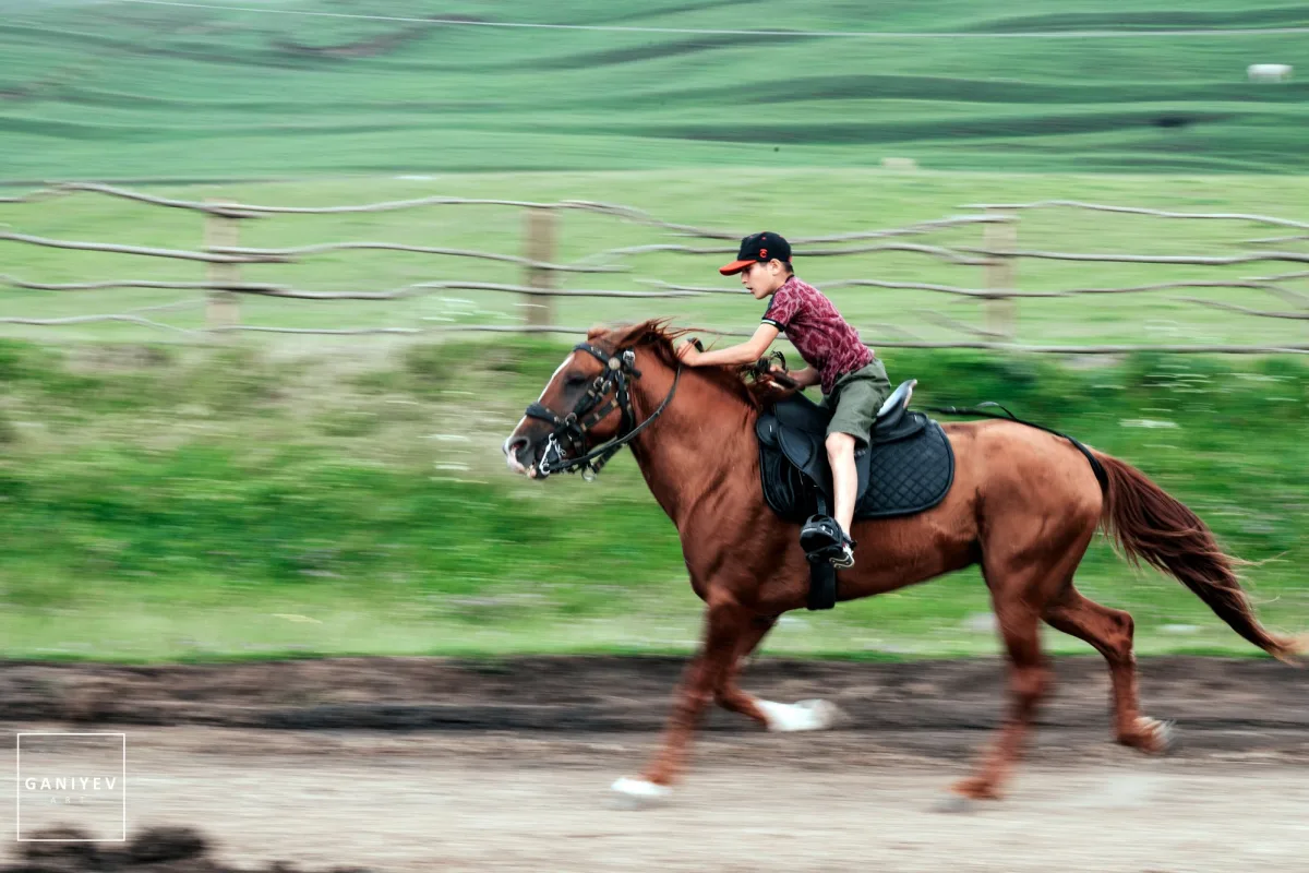 Milli Yaylaq Festivalı