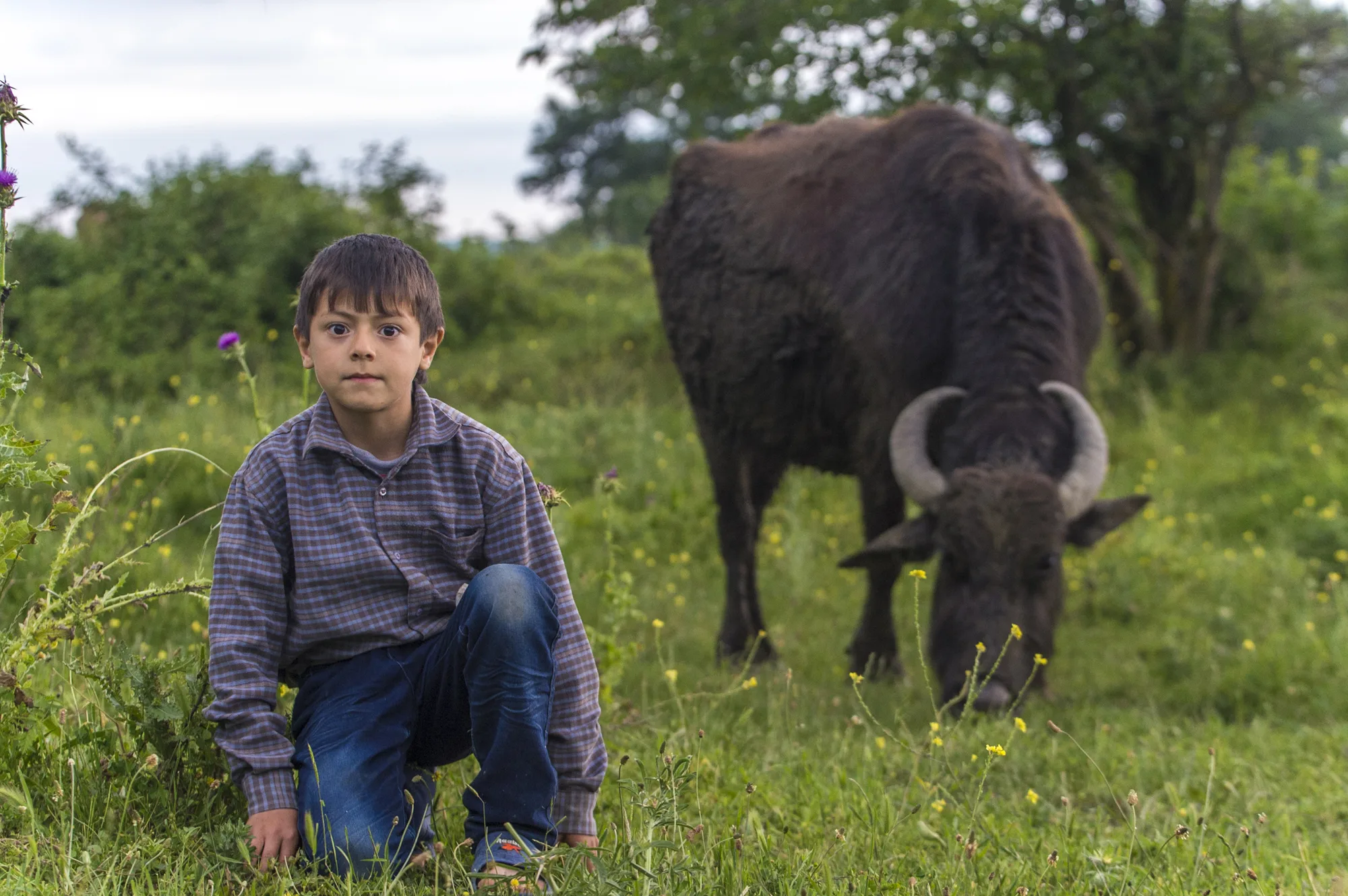 Təbiətlə üz-üzə